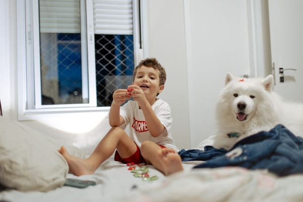 Mascotas y niños: enseñar responsabilidad y respeto