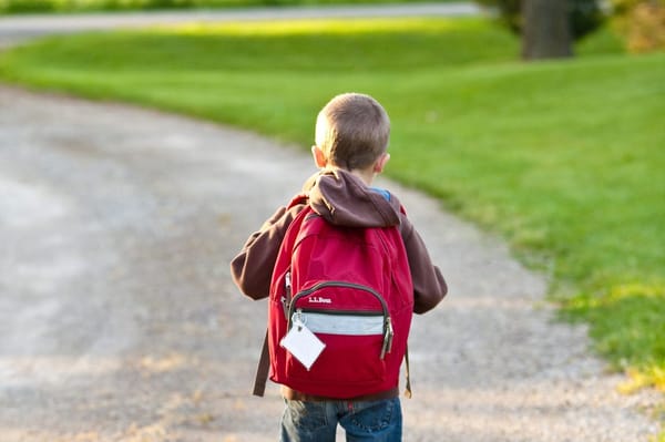 Mochila escolar: cómo elegirla sin dañar la espalda de tu hijo